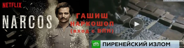 гашик Арсеньев