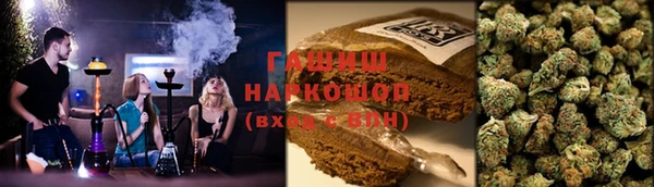 гашик Арсеньев